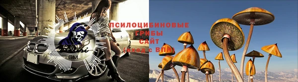 таблы Карпинск