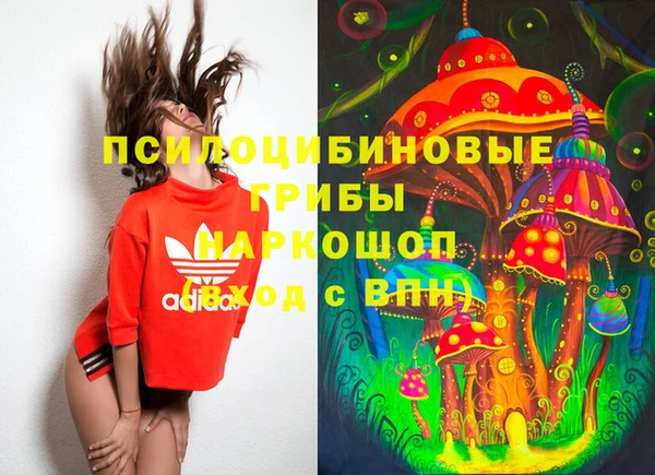 таблы Карпинск
