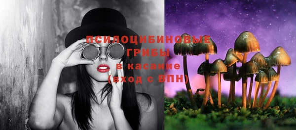 прущий лед Касимов