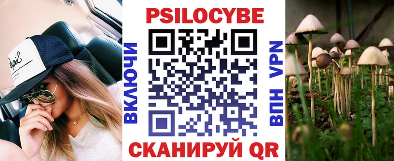 Купить закладки  Вятские Поляны  Псилоцибиновые грибы Psilocybine cubensis 